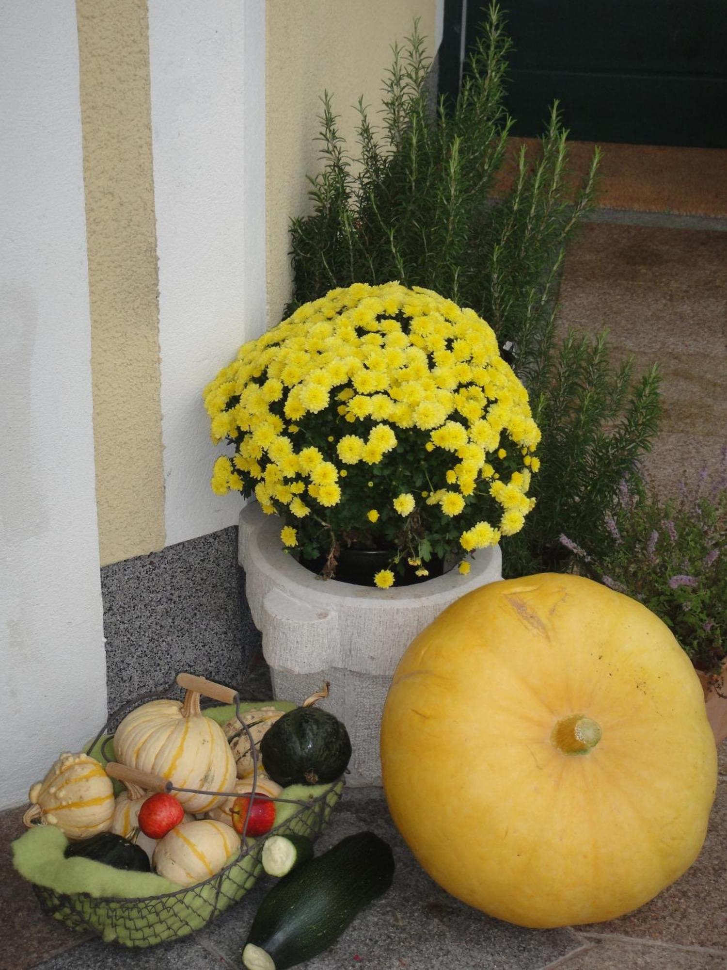 Ferienwohnung Haus Lehen Sankt Koloman Kültér fotó