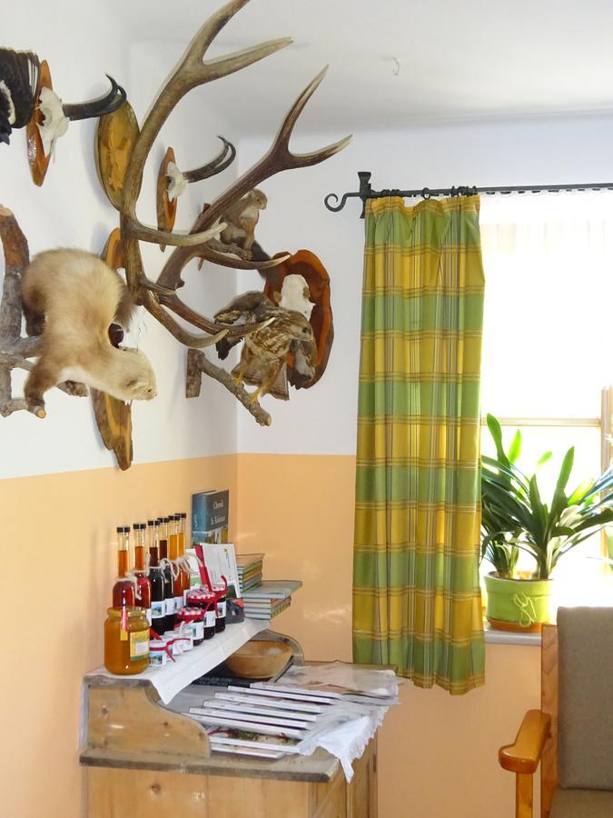 Ferienwohnung Haus Lehen Sankt Koloman Kültér fotó